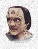 Elim Garak